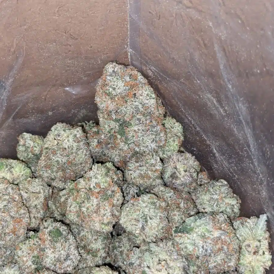 Hippie crippler 3 I Hippie Crippler