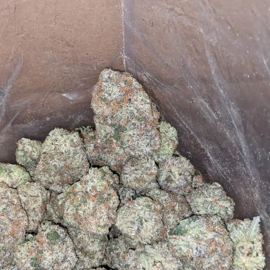 Hippie crippler 4 I Hippie Crippler