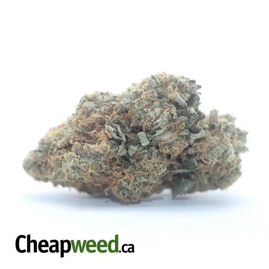 $ 45 Oz - Jack Herer