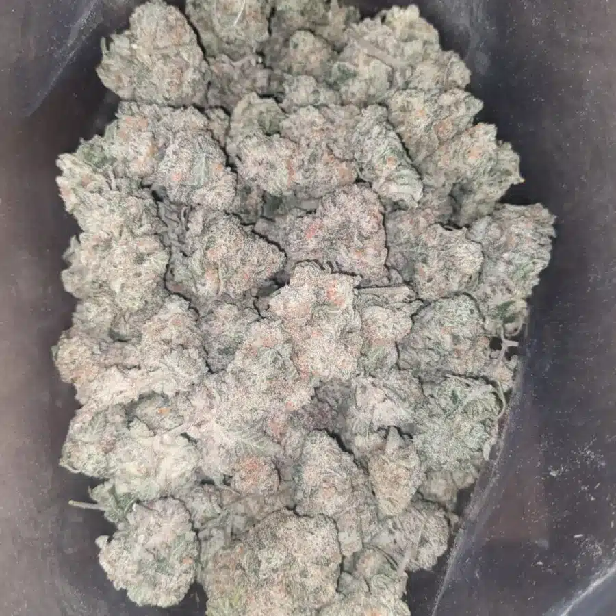Jack Herer 2 1 I $ 57 Oz - Jack Herer