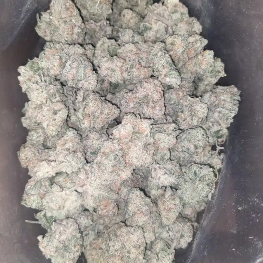 Jack Herer 3 1 I $ 57 Oz - Jack Herer