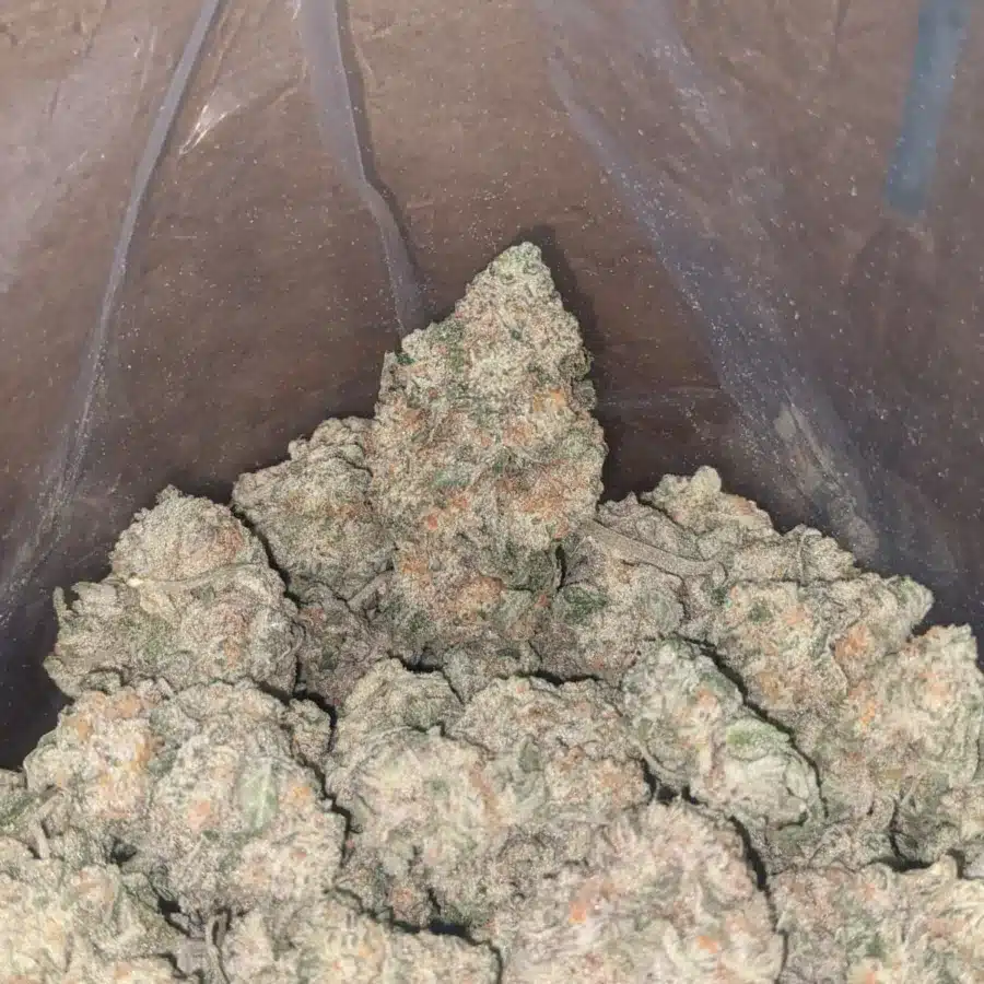 Jack Herer 4 I $ 57 Oz - Jack Herer