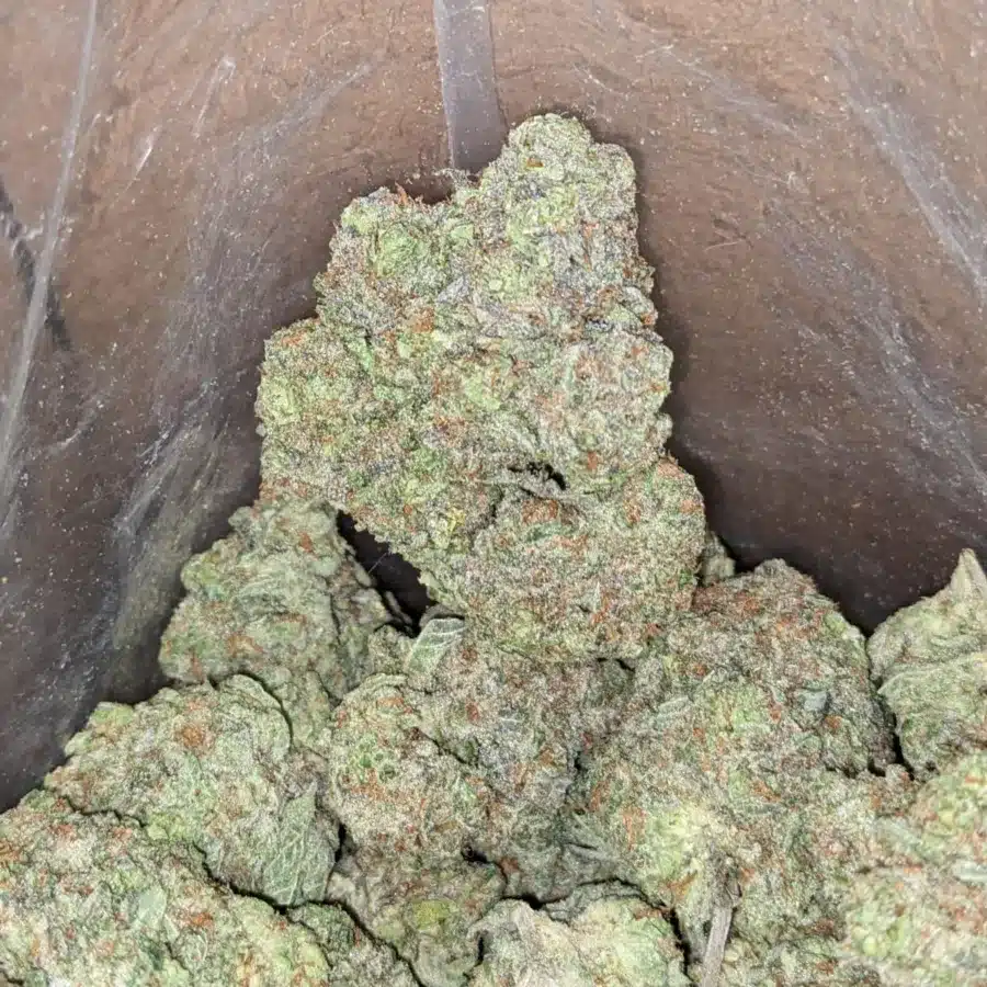Kush mints 1 I Kush Mints