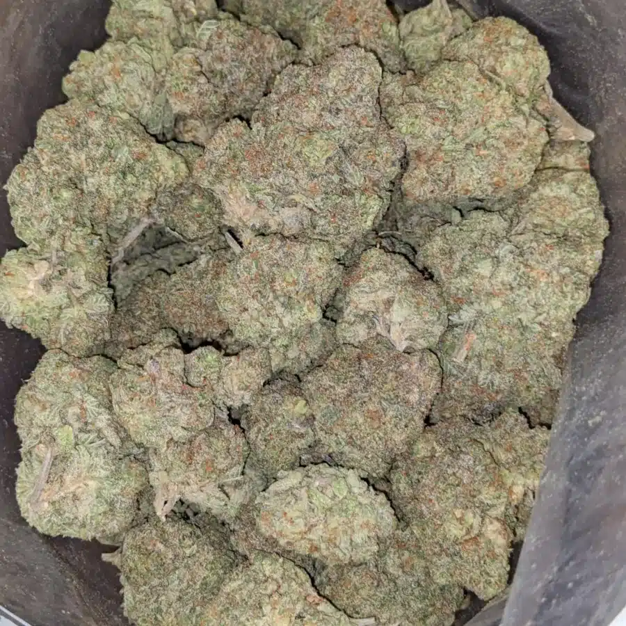 Kush mints 3 1 I Kush Mints
