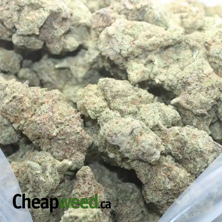 MAC 10 1 I $ 59 Oz - M.A.C # 10