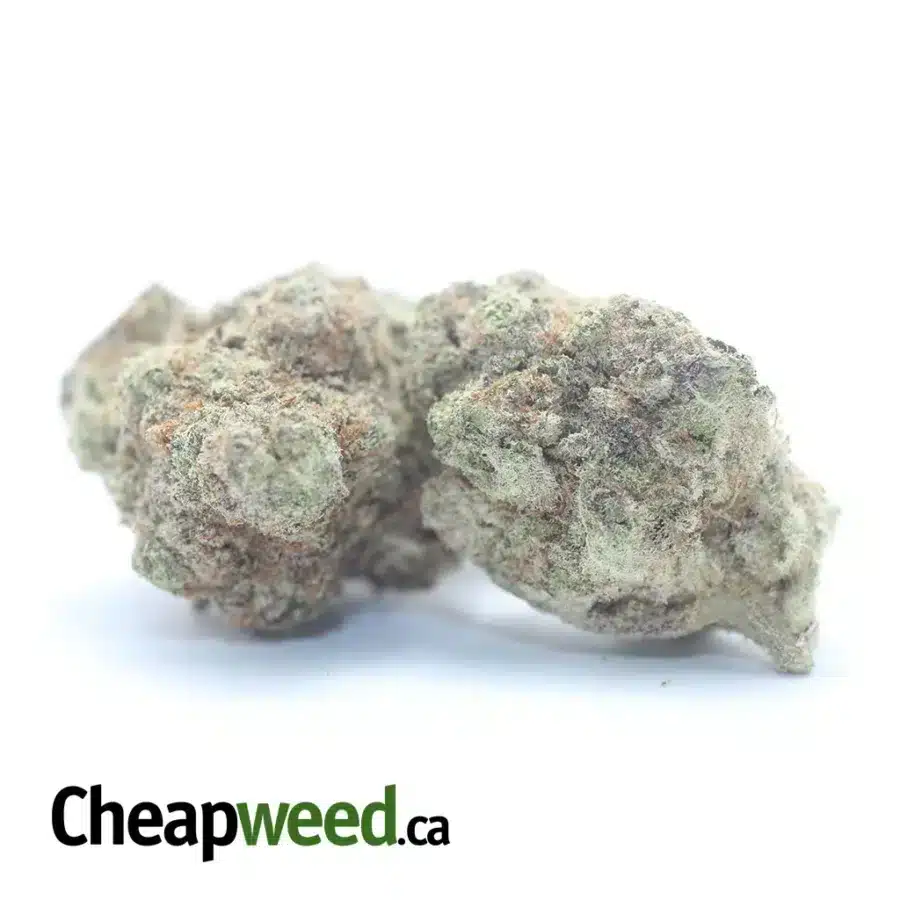 MAC 10 3 I $ 59 Oz - M.A.C # 10