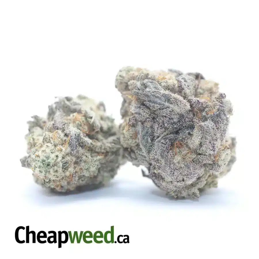MENDO BREATH 1 I Mendo Breath