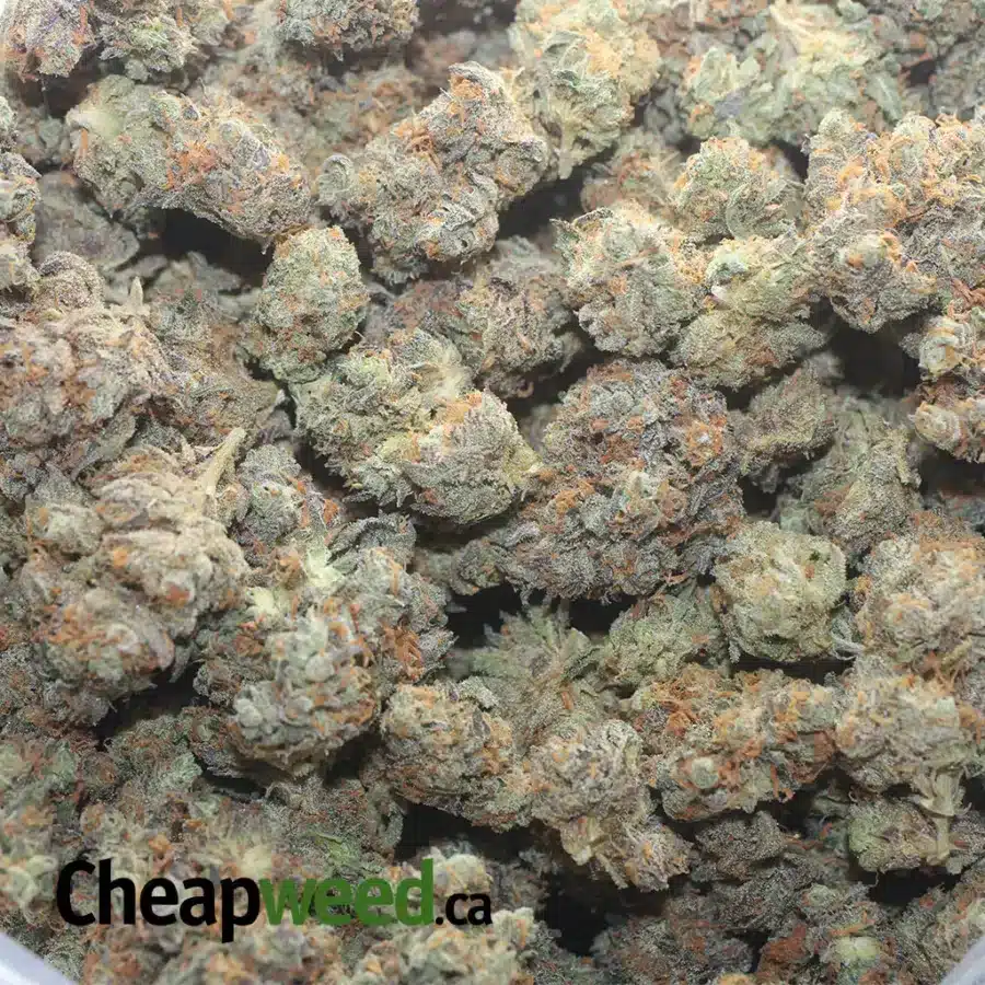 MENDO BREATH 2 I Mendo Breath