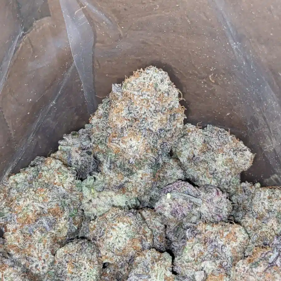Mac 10 X Gmo Cookies AAA 1 I $ 62 Oz - Mac 10 X Gmo Cookies