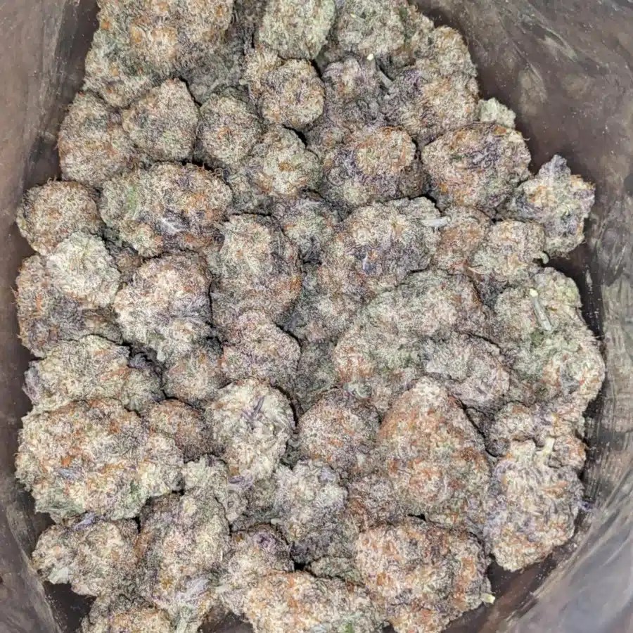 Mac 10 X Gmo Cookies AAA 2 I $ 62 Oz - Mac 10 X Gmo Cookies