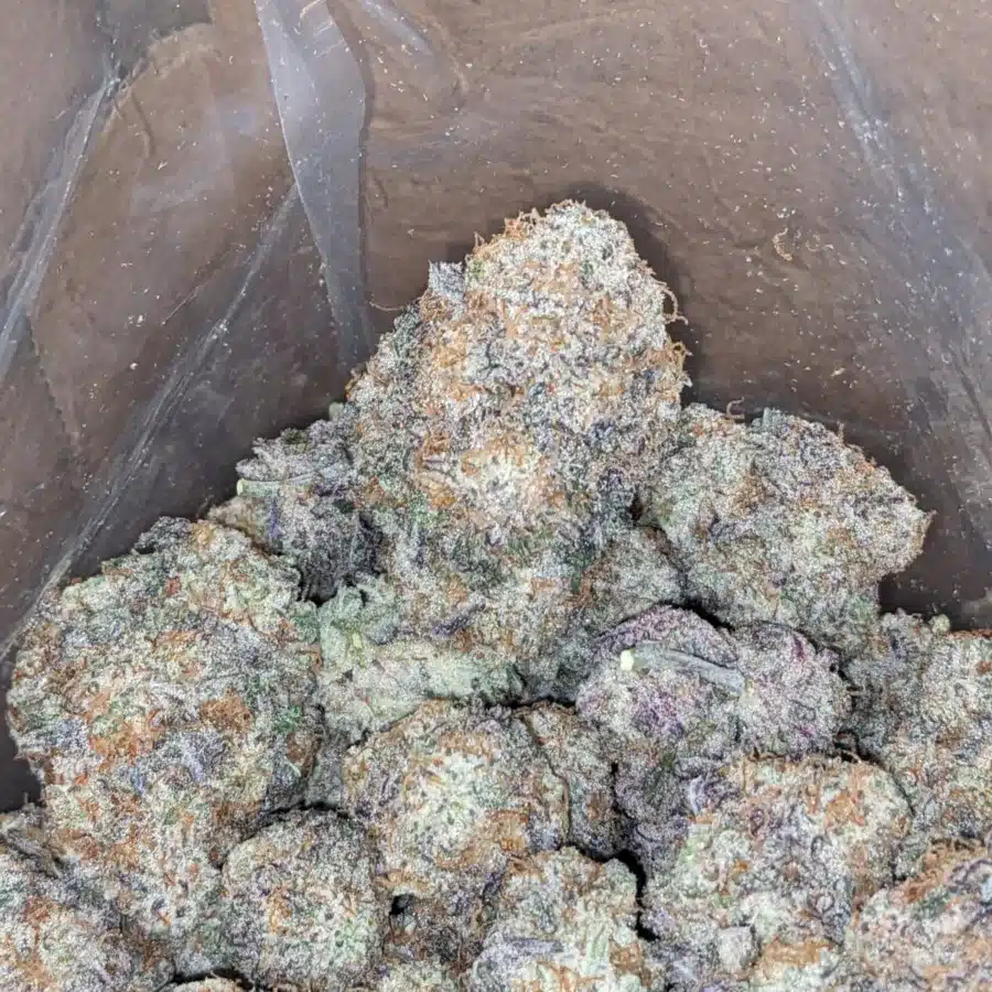 Mac 10 X Gmo Cookies AAA 3 I $ 62 Oz - Mac 10 X Gmo Cookies