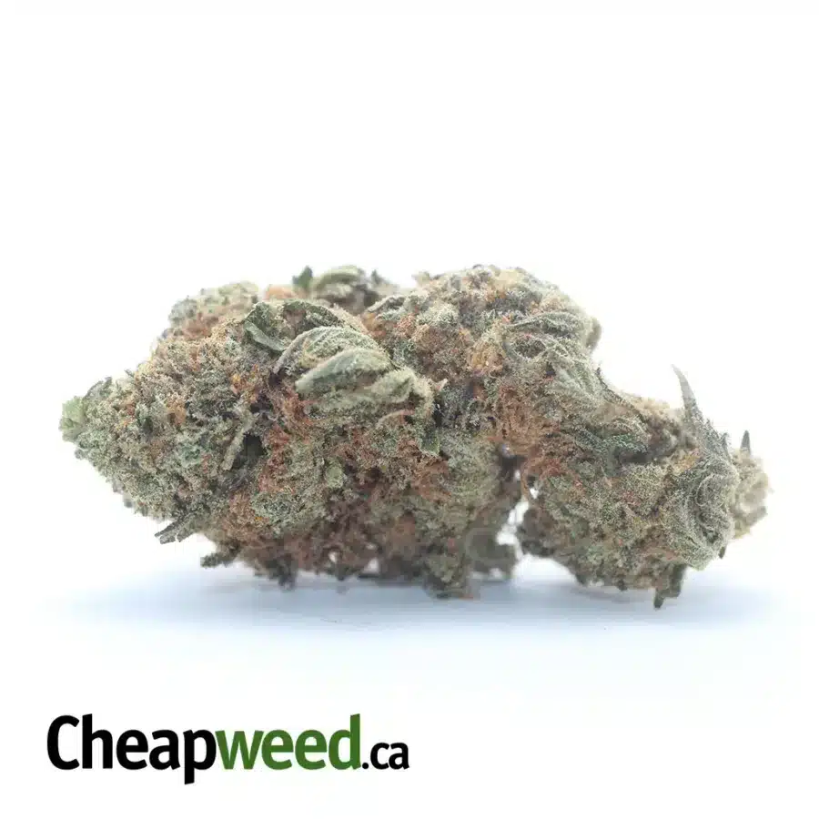 Orange Crack