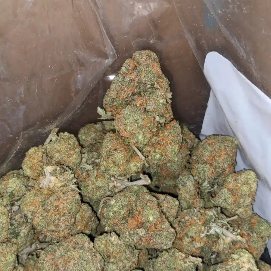 ORange Crack 1 2 I Orange Crack