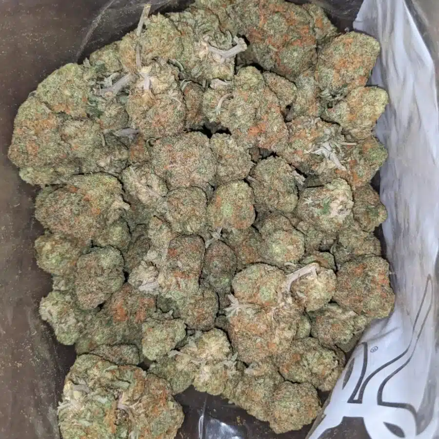 Orange Crack