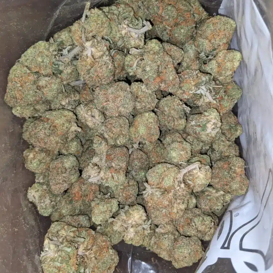 ORange Crack 3 2 I Orange Crack