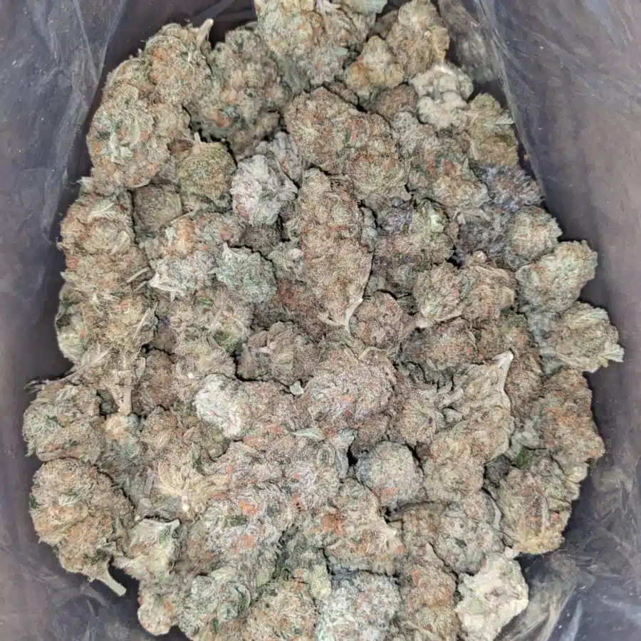 Orange crack 1 I Orange Crack