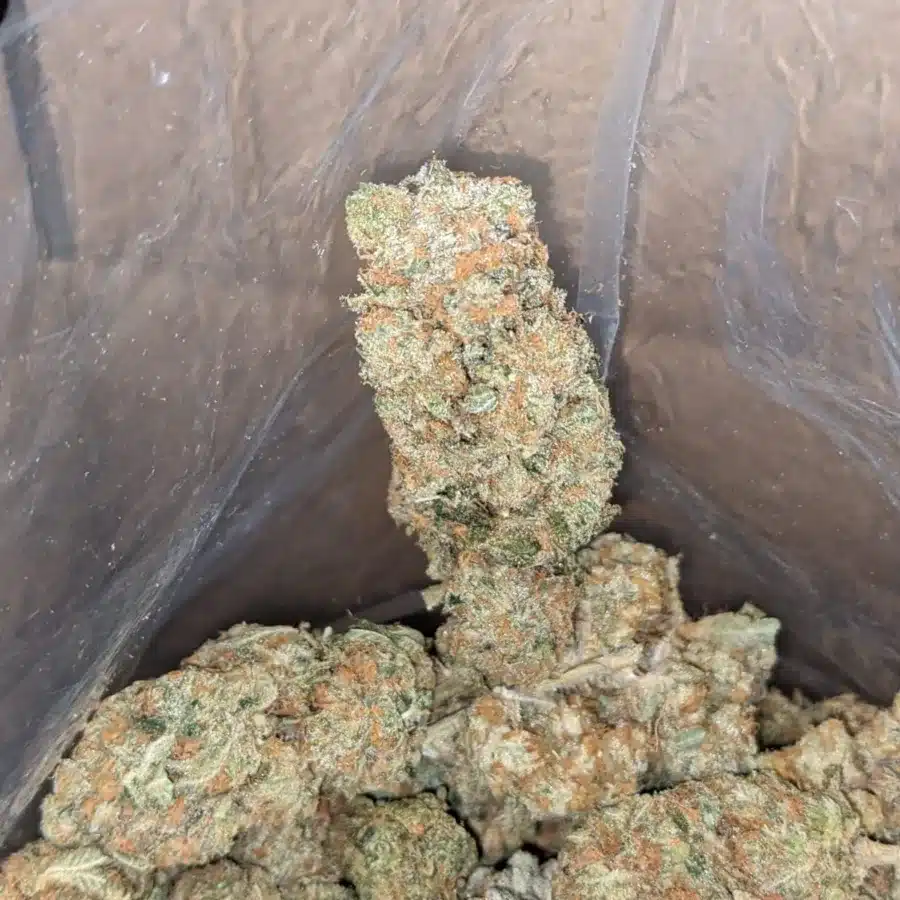 Orange crack 3 I Orange Crack