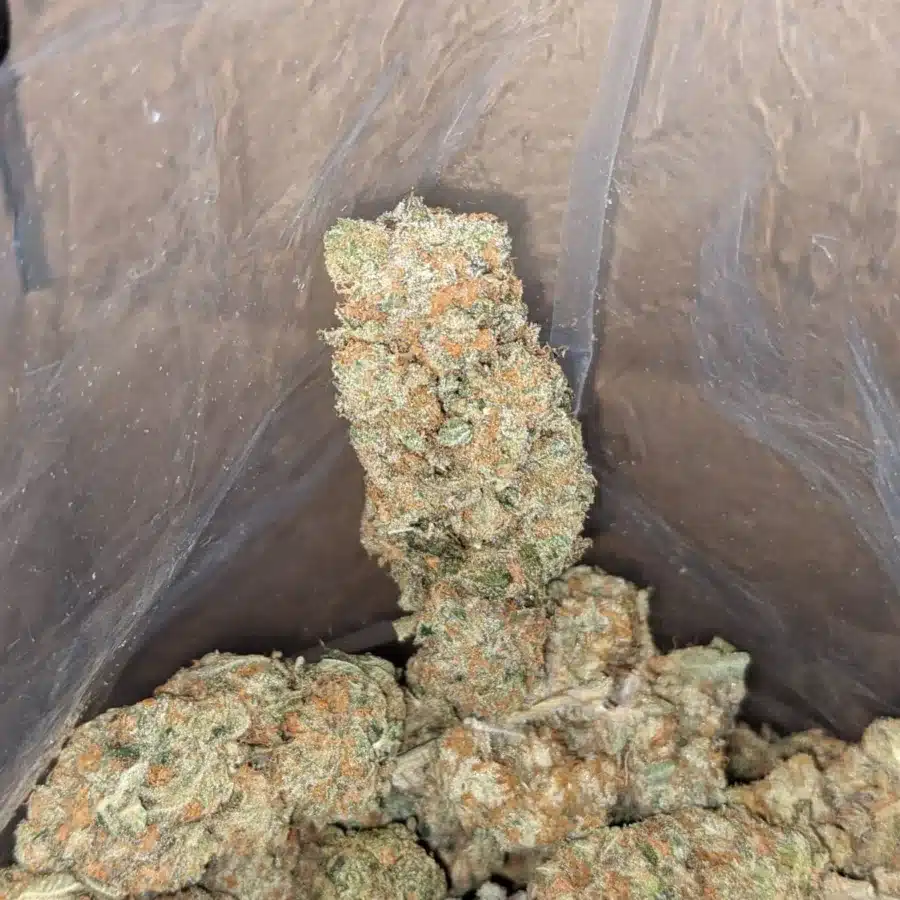 Orange crack 4 I Orange Crack