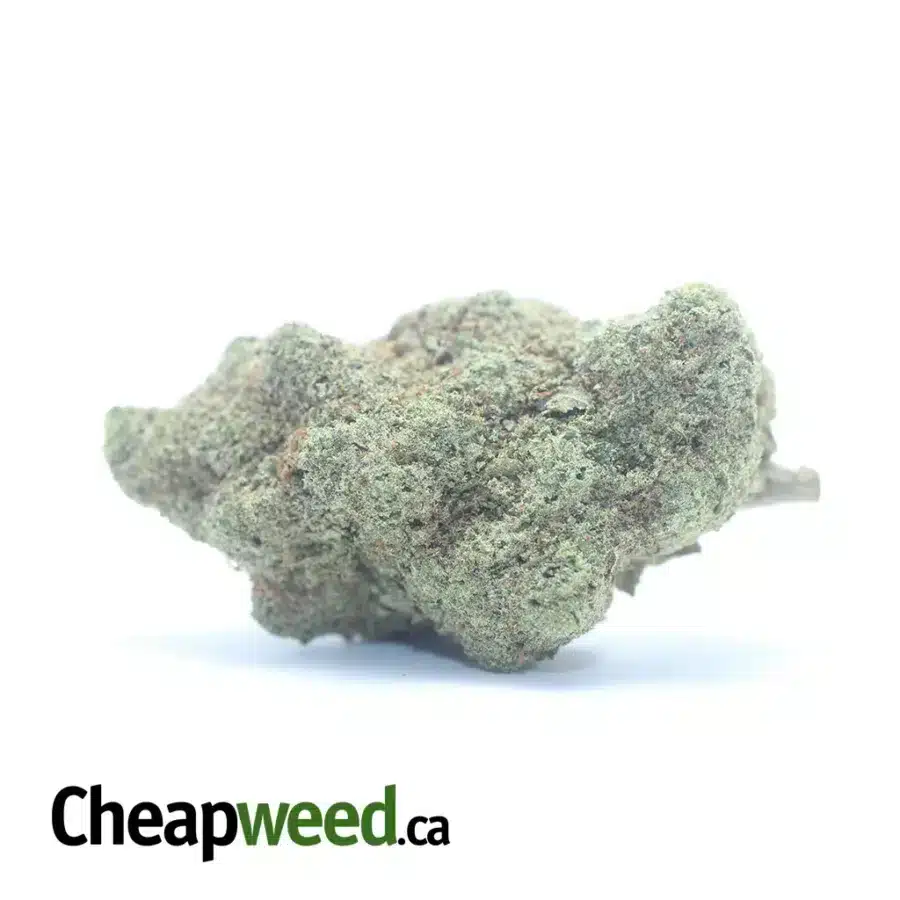 Pineapple Skunk