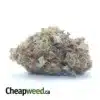 $ 45 Oz - Pugs Breath