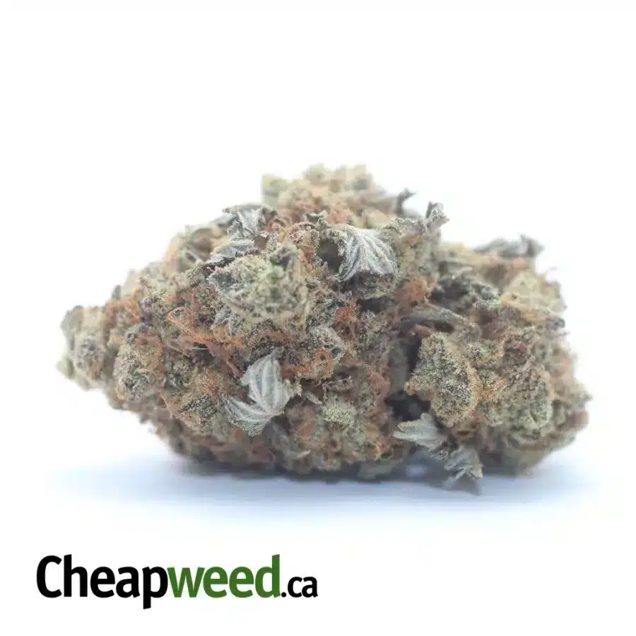 $ 45 Oz - Pugs Breath