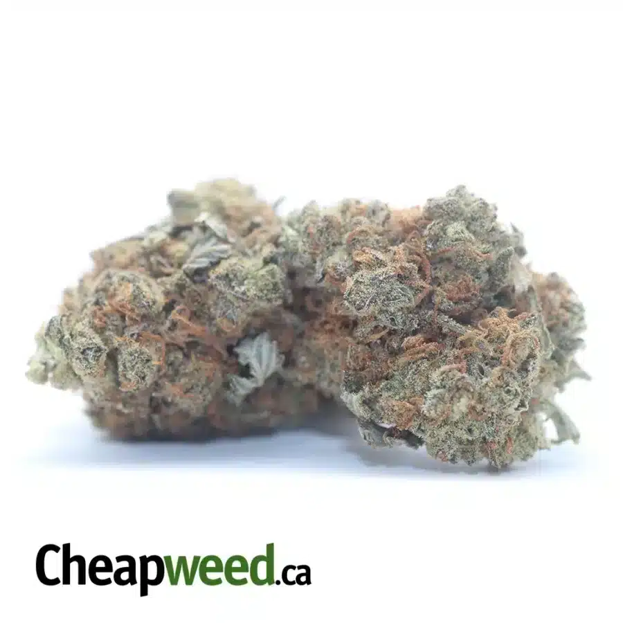 Alternative view of $ 45 Oz - Pugs Breath