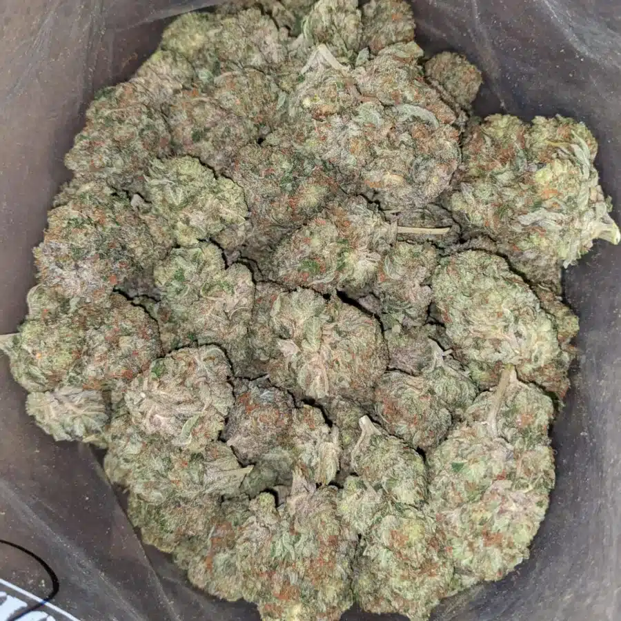 Pink ChemDawg 2 I Pink Chemdawg