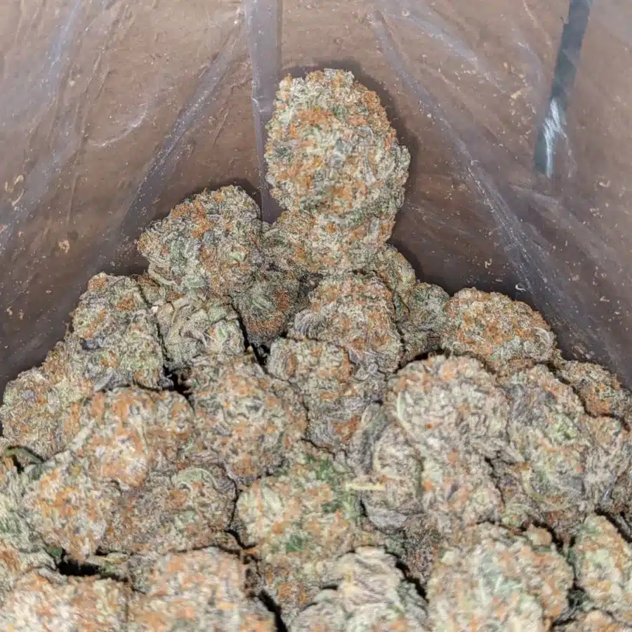 Platinum blackberry 1 I $ 57 Oz - Platinum Blackberry