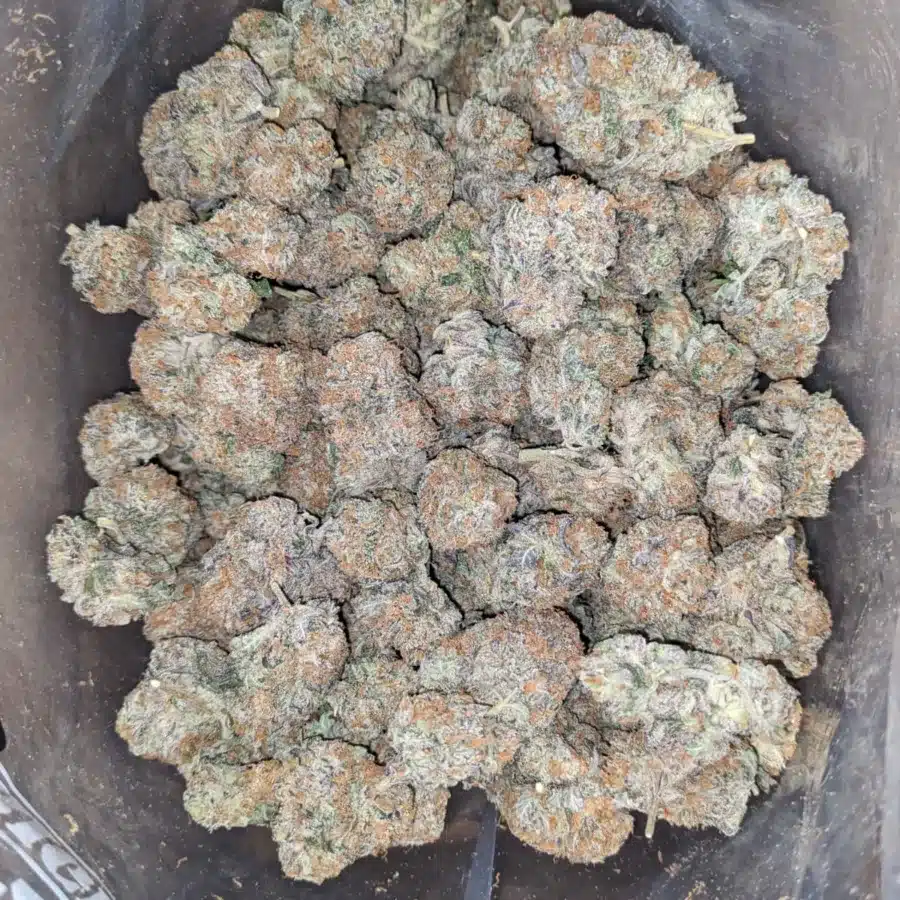 Platinum blackberry 2 I $ 57 Oz - Platinum Blackberry
