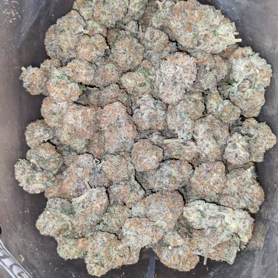 Platinum blackberry 3 I $ 57 Oz - Platinum Blackberry