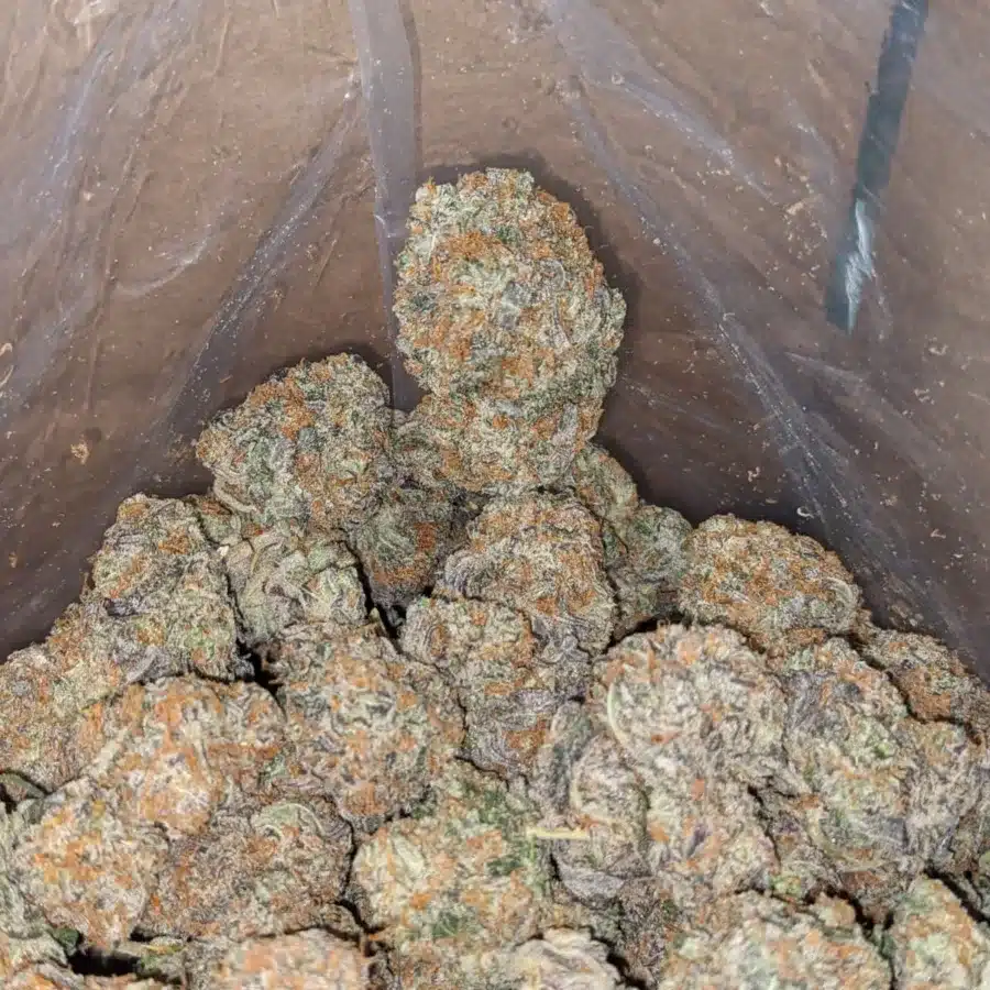Platinum blackberry 4 I $ 57 Oz - Platinum Blackberry