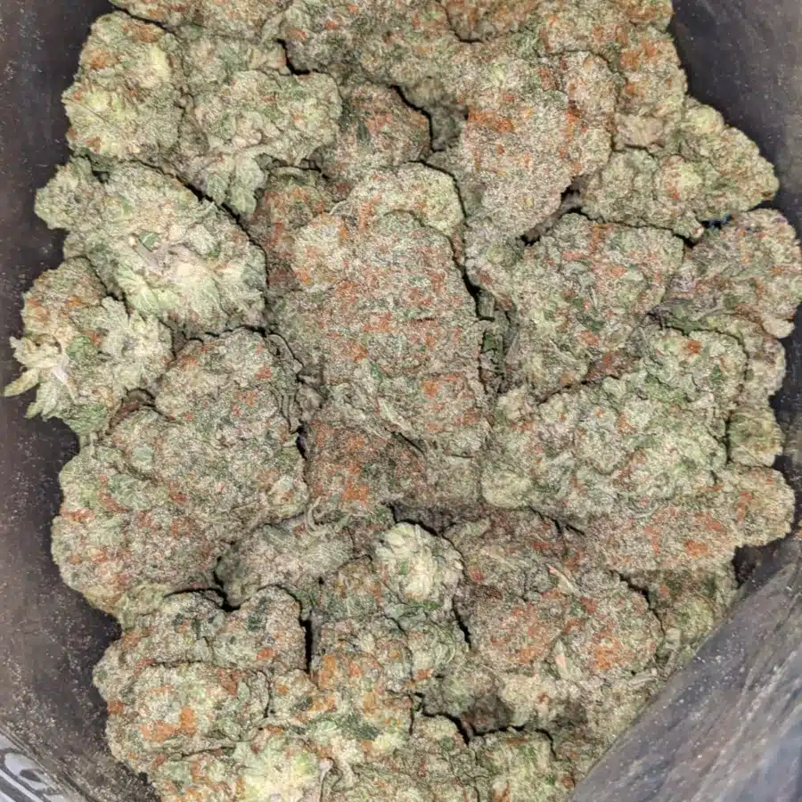 Pre 98 Bubba Kush 1 I $ 61 Oz - Pre 98 Bubba Kush