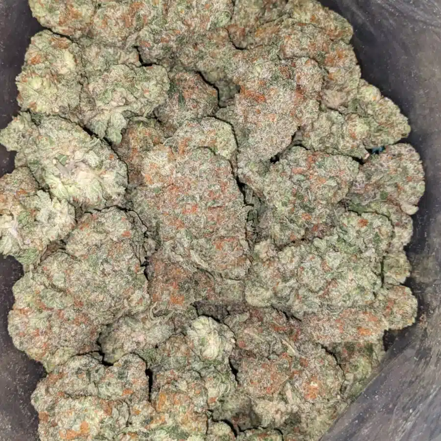 Pre 98 Bubba Kush 2 I $ 61 Oz - Pre 98 Bubba Kush