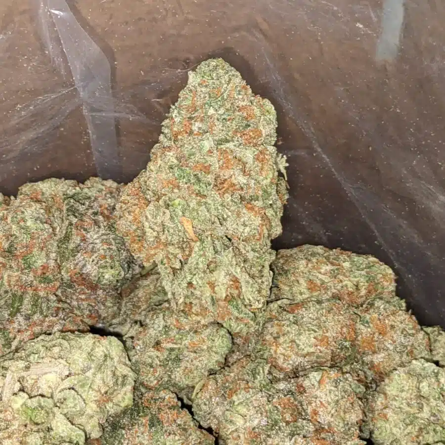 Pre 98 Bubba Kush 3 I $ 61 Oz - Pre 98 Bubba Kush