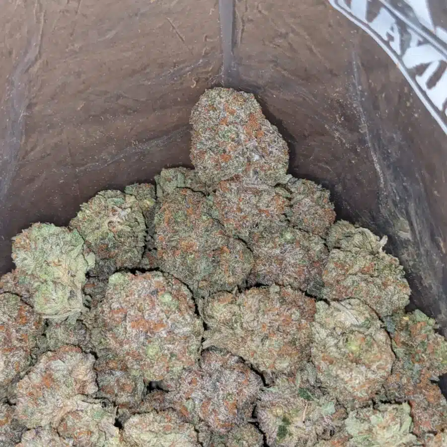 Pugs breath 3 1 I Pugs Breath