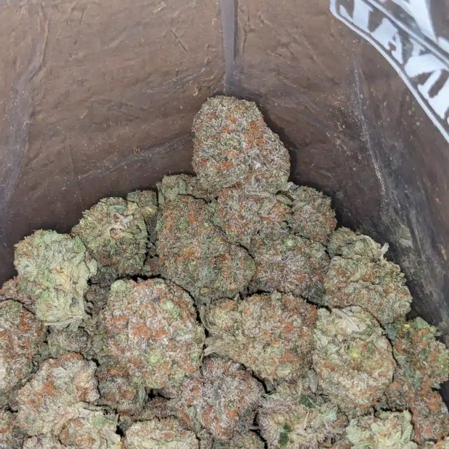 Pugs breath 4 I Pugs Breath