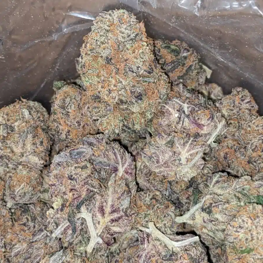 Purple Amnesia 1 1 I Purple Amnesia
