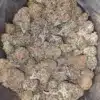 Purple Amnesia