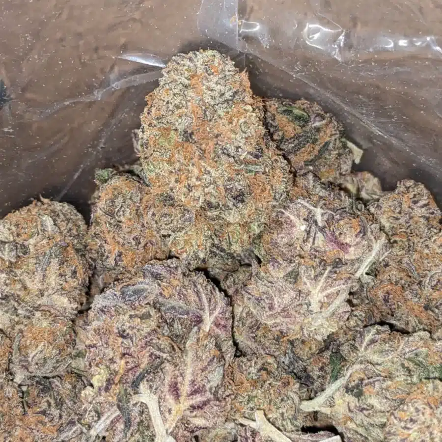 Purple Amnesia 4 I Purple Amnesia