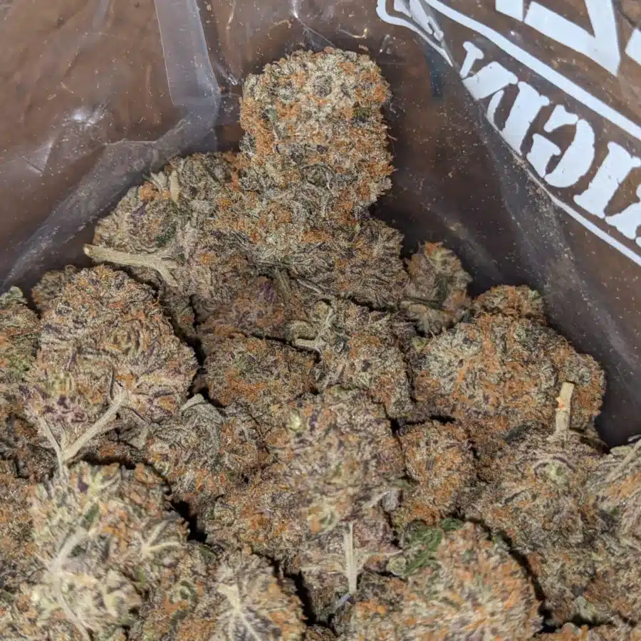 Purple Churro 1 2 I Purple Churro