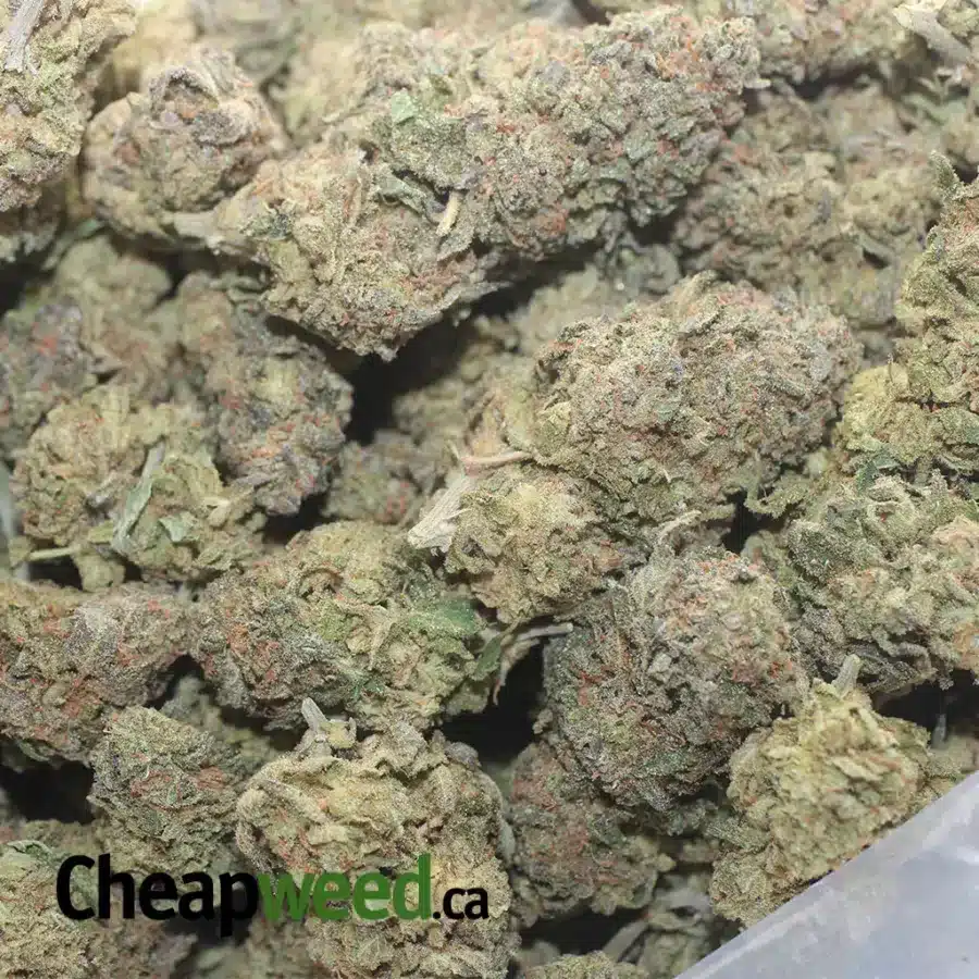 RUNTZ 1 I $ 44 Oz - Runtz