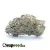 $ 44 Oz - Runtz