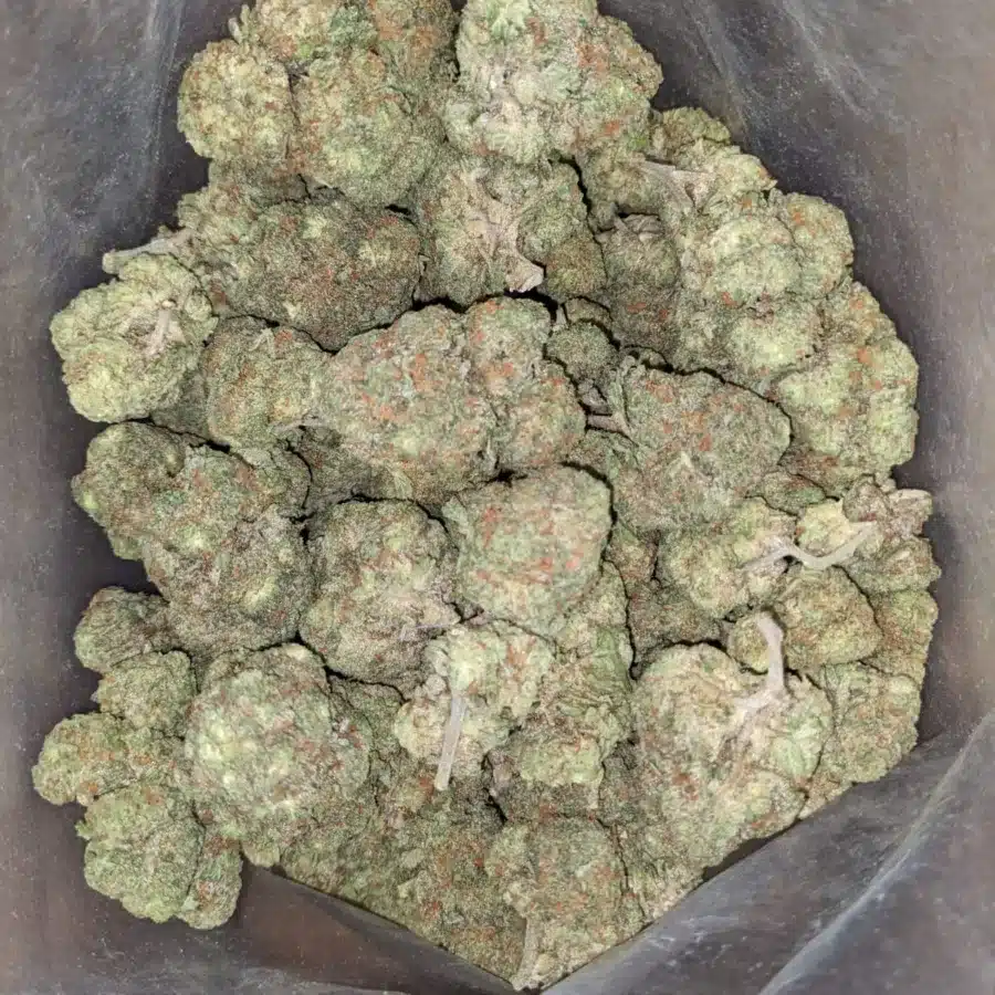 Rocket fuel 1 I $ 55 Oz - Rocket Fuel