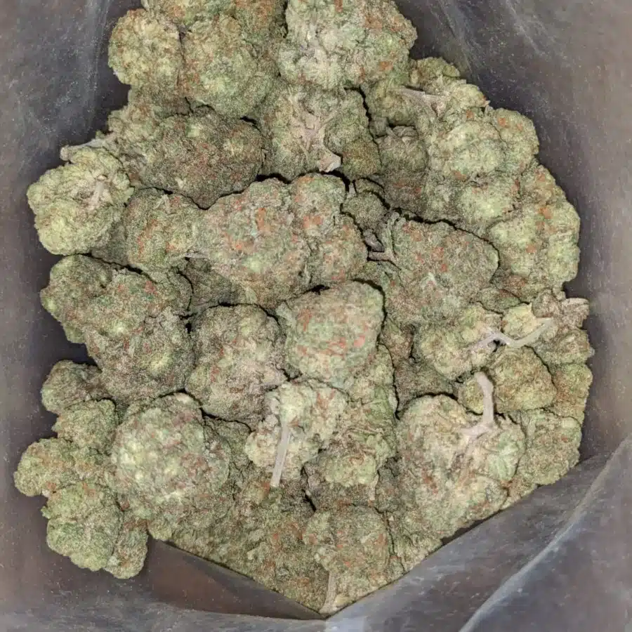 Rocket fuel 2 I $ 55 Oz - Rocket Fuel