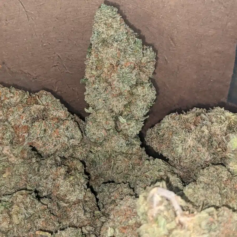Runtz 3 1 I $ 56 Oz - Runtz