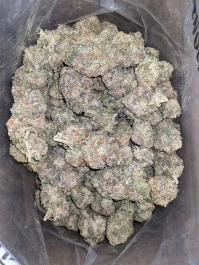 SPACE COOKIES 2 1 I Legacy