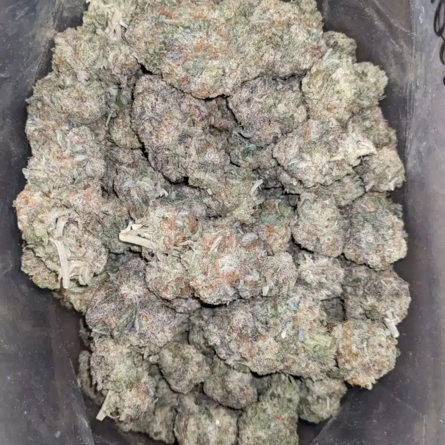 Space Cookies