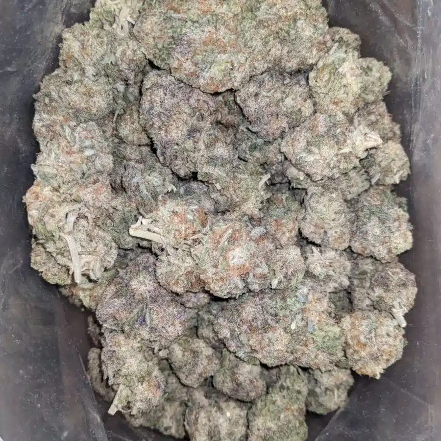 SPACE COOKIES 3 1 I Space Cookies