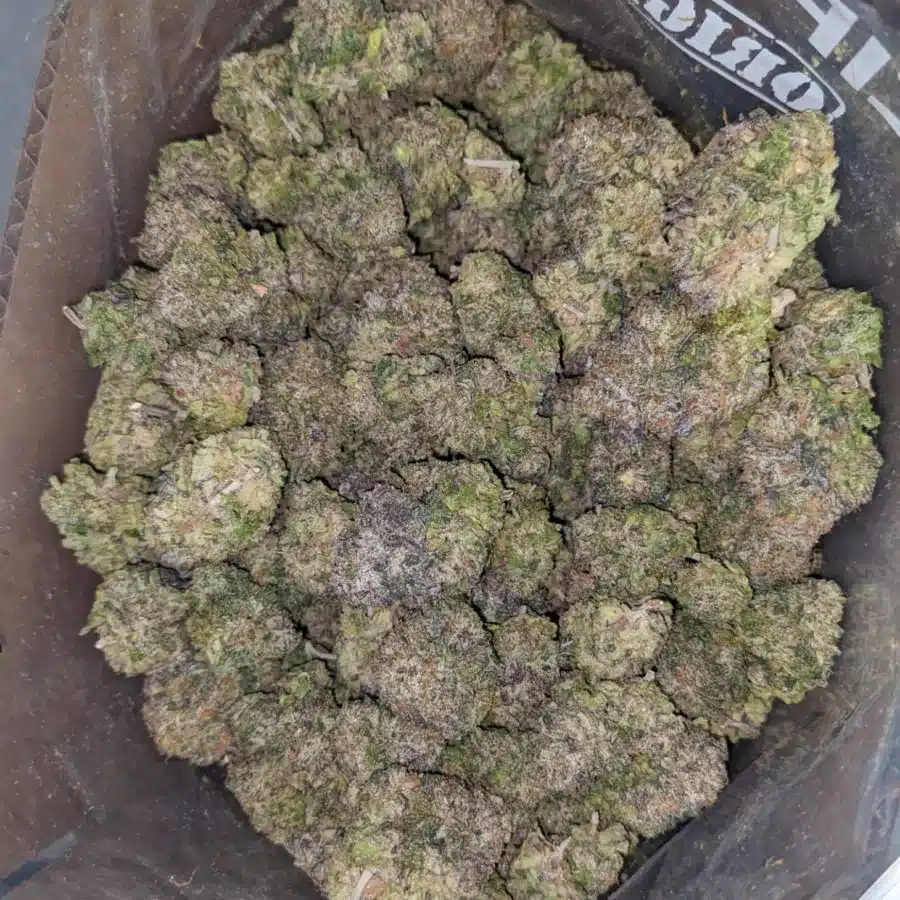 SWEET BERRY 1 1 I Sweet Berry