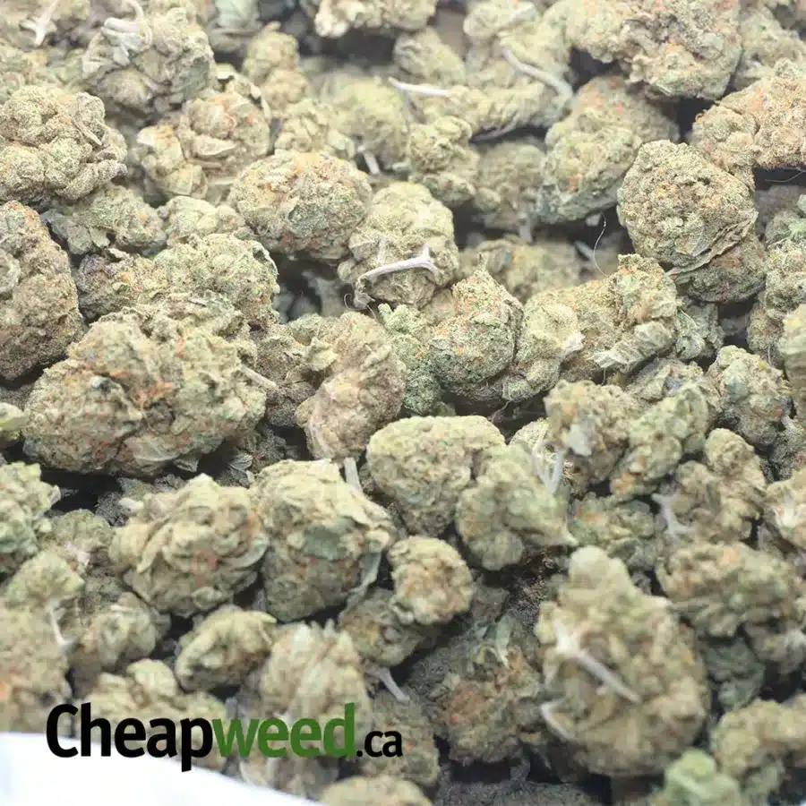 SWEET BERRY 1 I $ 45 Oz - Sweet Berry
